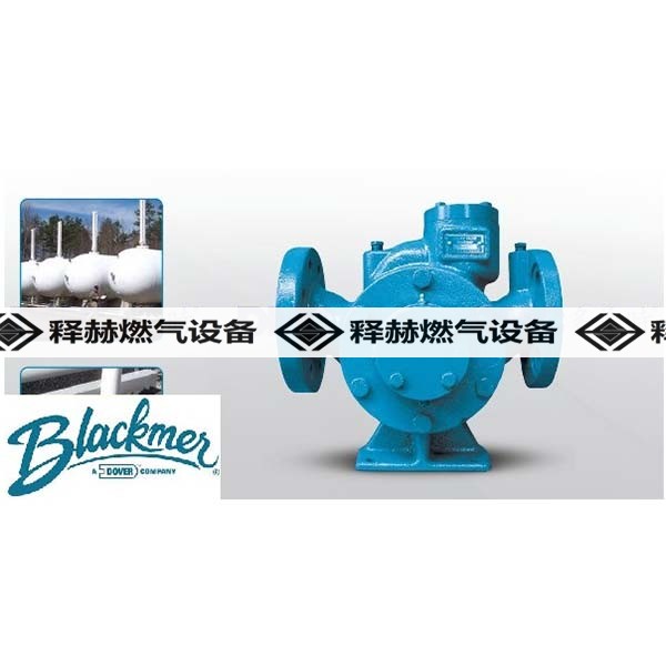 百馬 Blackmer 液化氣泵液化氣加氣烴泵