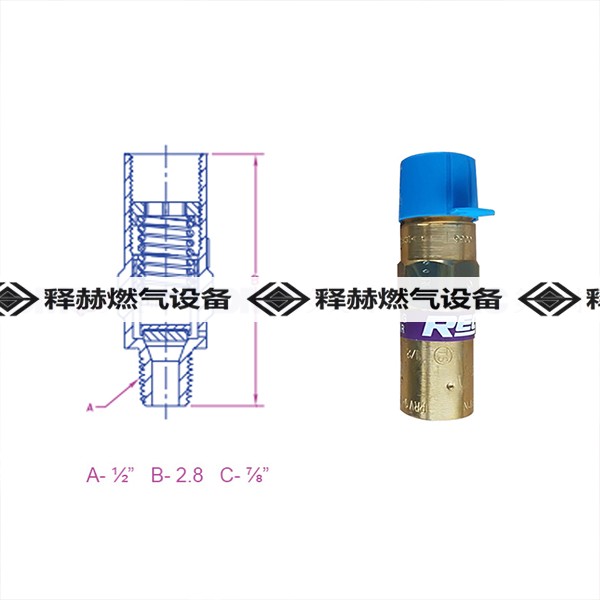 RegO安全閥低溫安全閥氣體泄壓閥 |燃?xì)庠O(shè)備